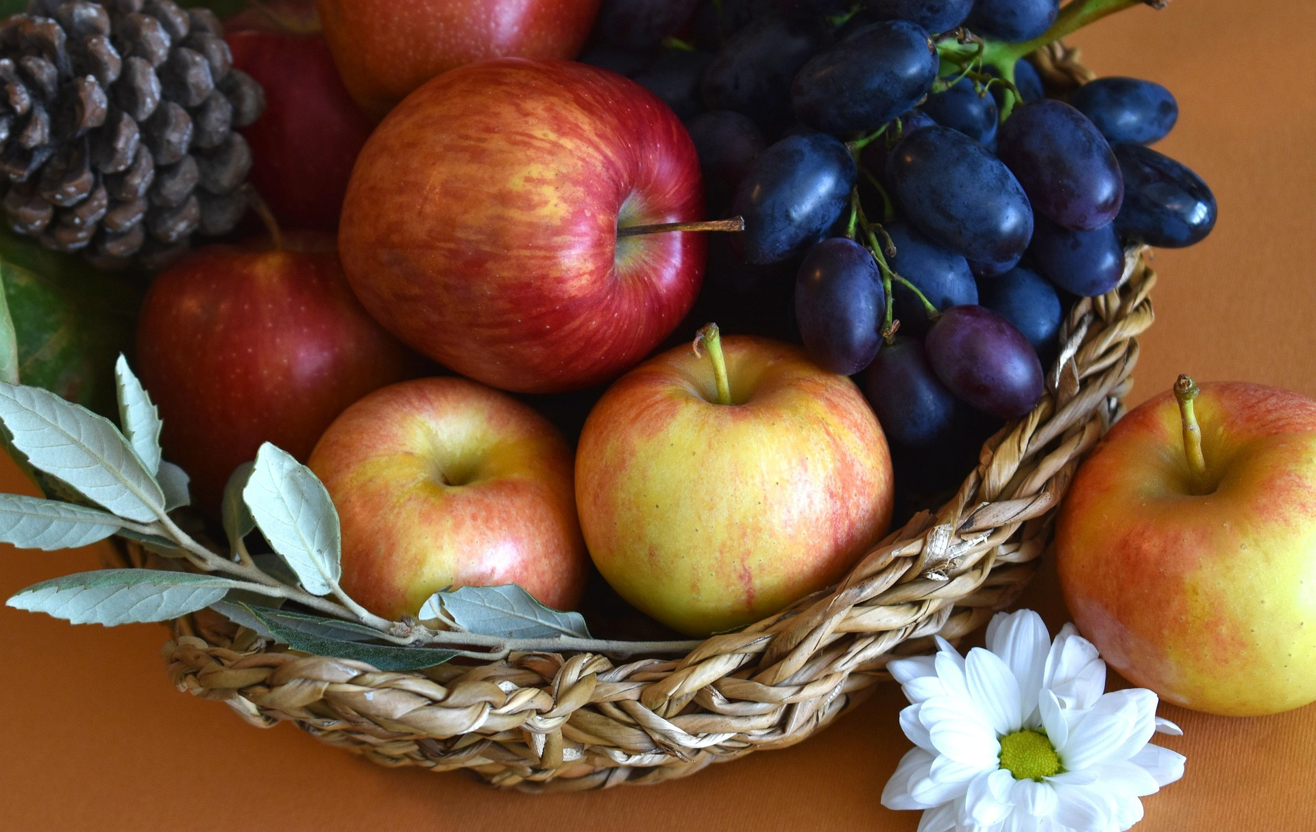 Εικόνα επιλογής